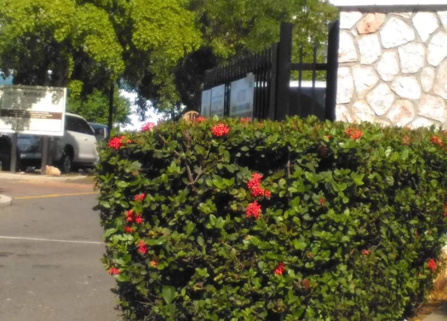 פאלמאות' Aunt Lils Cottages